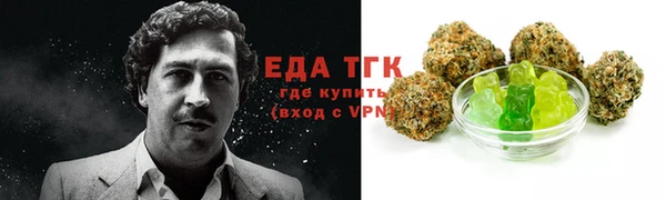 твердый Горняк