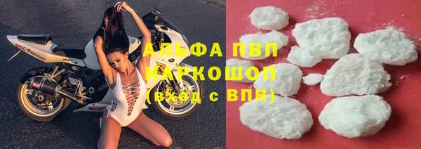 твердый Горняк