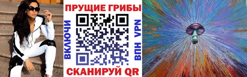 Купить закладки  Карталы  Галлюциногенные грибы Cubensis 